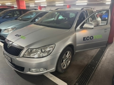 kammerjaeger pratteln wespenentfernung