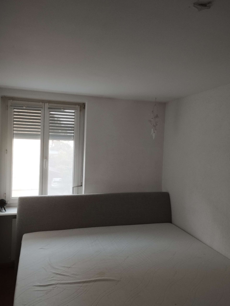 Im Schlafzimmer von Biel-Benken deutet die ruhige Szene mit Fenster und Bett auf einen moeglichen Befall hin, der den Einsatz eines Kammerjaegers gegen Bettwanzen erfordert.