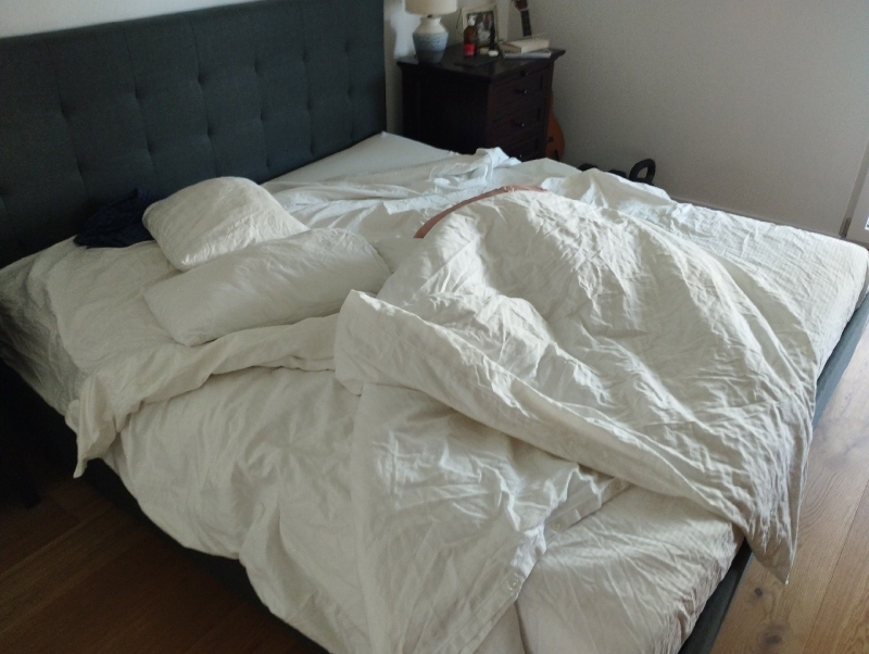 Auf einem zerwuehlten Bett in Bretzwil koennten Hinweise auf Bettwanzen vorliegen, weshalb ein Kammerjaeger zur genauen Untersuchung sinnvoll sein kann.