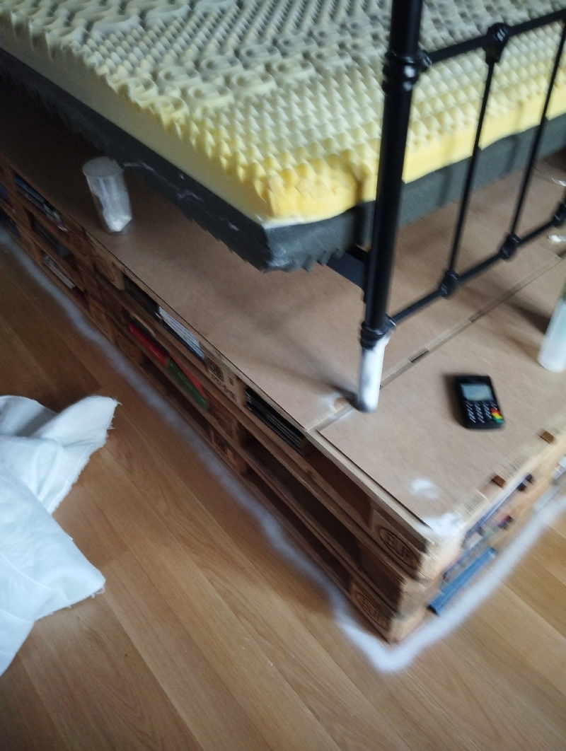 Bettwanzen_bekaempfen (816).jpeg