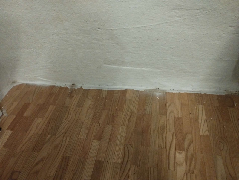 Nahe der Wandfuge auf dem Laminatboden in Grellingen deuten dunkle Spuren auf Bettwanzen hin und machen den Einsatz eines Kammerjaegers notwendig.