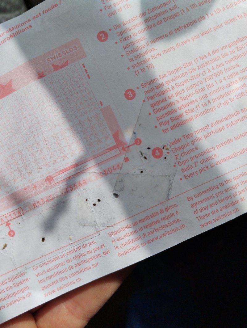 Auf einem Lottoschein finden sich in Kaenerkinden mehrere dunkle Bettwanzenkotspuren, die auf einen noetigen Einsatz des Kammerjaegers hinweisen.