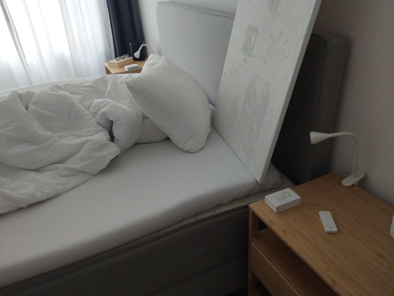 Neben einem verschobenen Bild im Schlafzimmer in Laufen laesst die geoeffnete Bettseite auf einen moeglichen Befall mit Bettwanzen schliessen, was den Einsatz eines Kammerjaeger erfordern kann.