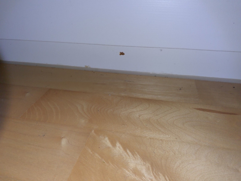 In Pfeffingen deutet der kleine dunkle Fleck an der Fussleiste auf moegliche Bettwanzen hin, wodurch ein Kammerjaeger fuer eine genaue Untersuchung notwendig wird.