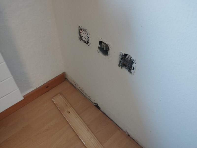 An der geoeffneten Wandkante in Rickenbach deuten dunkle Spuren auf einen versteckten Befall hin, bei dem ein Kammerjaeger im Ort erforderlich sein koennte.