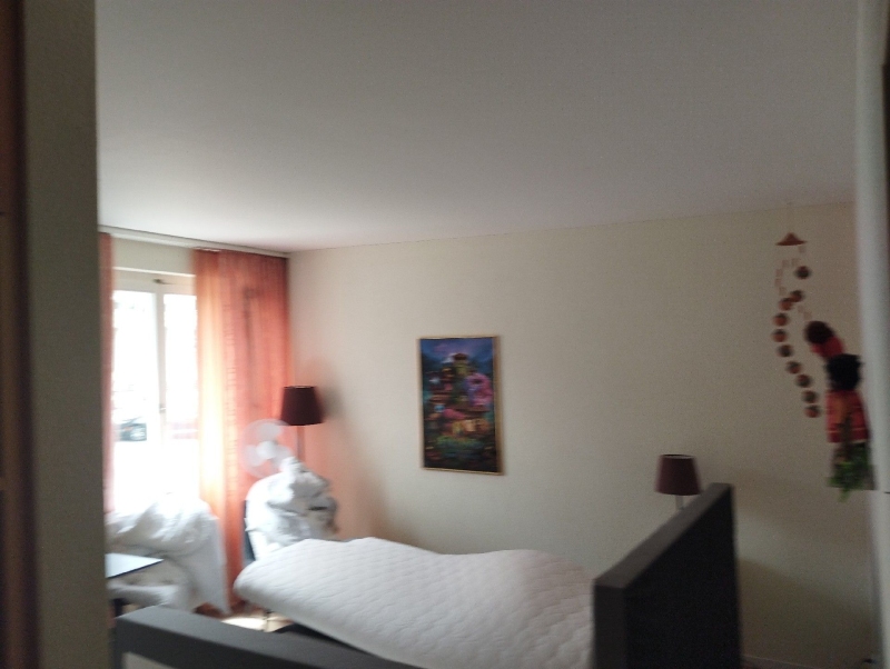In Sissach wurde ein Schlafzimmer mit Bettwanzenbefall festgestellt. Ein Kammerjäger sollte hinzugezogen werden, um das Problem effektiv zu beheben.