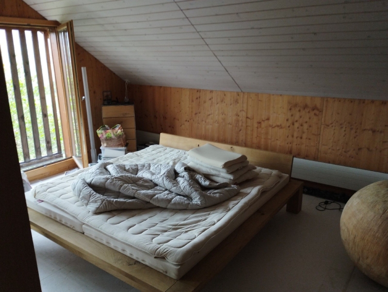 In Tecknau wurde ein Bettwanzenbefall im Schlafzimmer festgestellt. Eine sofortige Bekämpfung ist erforderlich, um die Ausbreitung der Schädlinge zu verhindern.