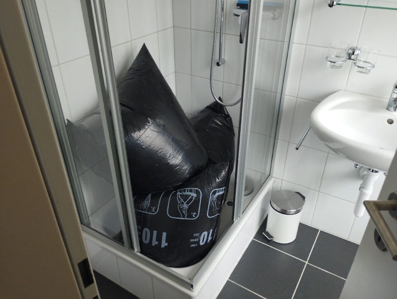 Bettwanzen sind in einem Badezimmer in Waldenburg sichtbar. Ein Kammerjäger sollte kontaktiert werden, um eine effektive Bekämpfung durchzuführen.
