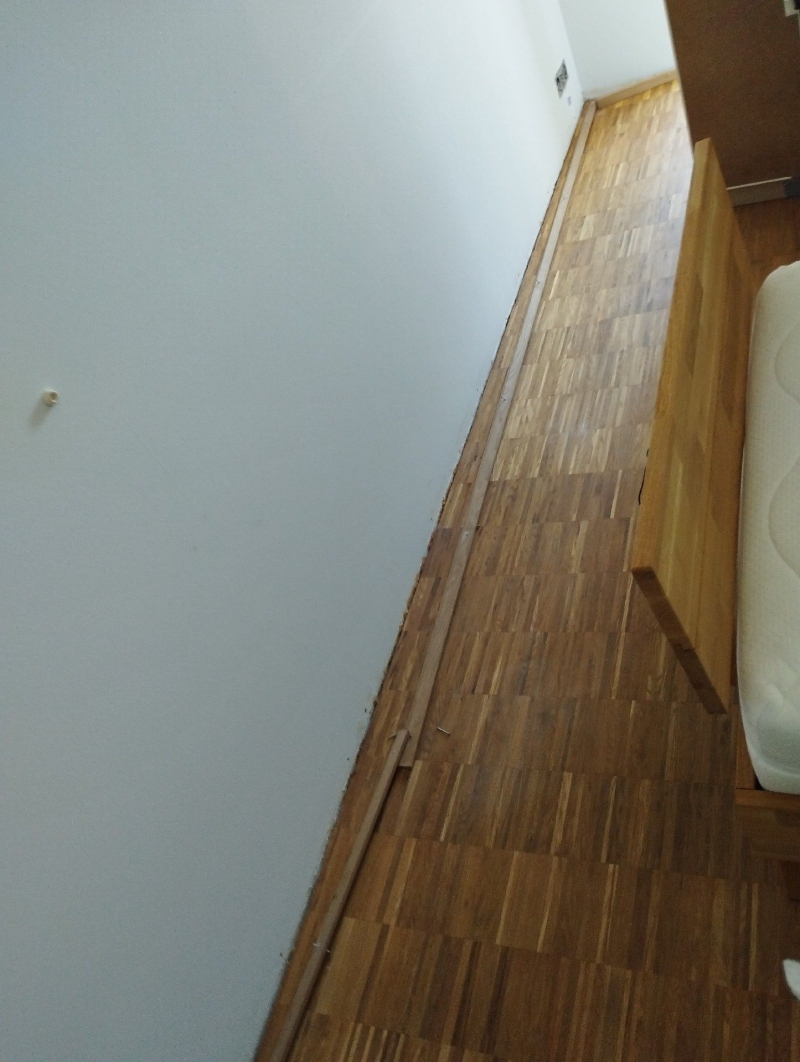 Spuren von Bettwanzen sind in Wenslingen an der Wand und dem Boden sichtbar. Ein Kammerjäger sollte kontaktiert werden, um eine gründliche Bekämpfung durchzuführen.