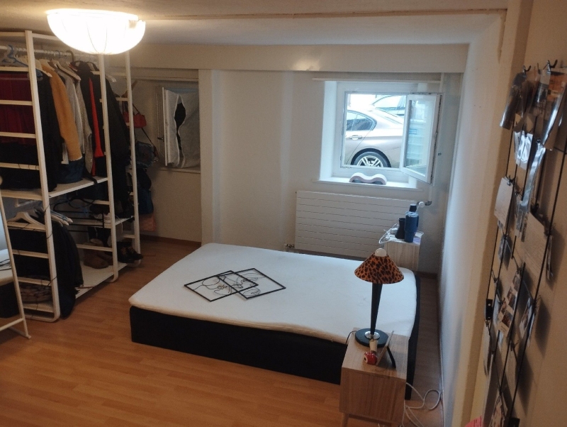 In Zeglingen wurde ein Befall von Bettwanzen in einem Schlafzimmer festgestellt. Kammerjäger sollten zur Bekämpfung der Schädlinge hinzugezogen werden.