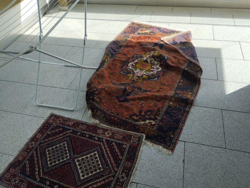 Ein Teppich in Ziefen zeigt Anzeichen von Bettwanzen. Es wird empfohlen, einen Kammerjäger zu kontaktieren, um eine professionelle Bekämpfung durchzuführen.