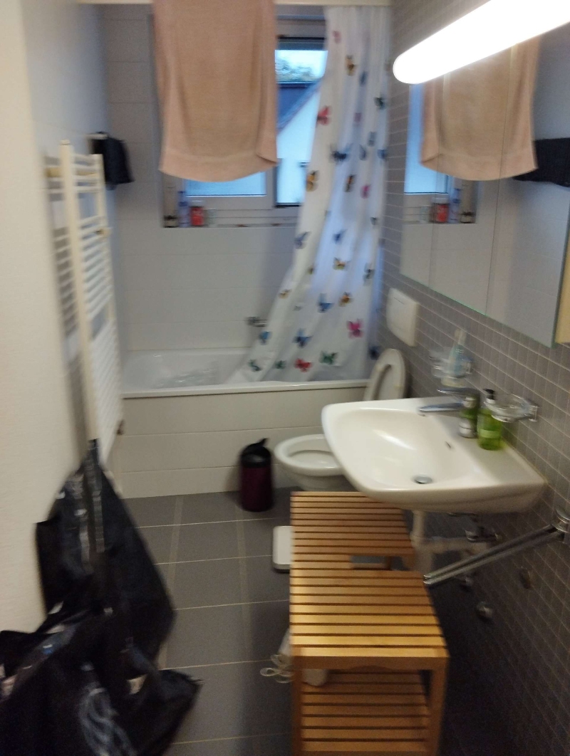 Ort: Zwingen. In einem Badezimmer sind mögliche Anzeichen für Bettwanzen sichtbar. Ein Kammerjäger könnte hier mit einer gezielten Bekämpfung helfen.