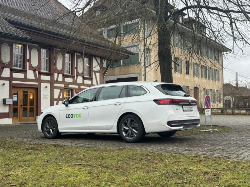 wespen entfernen ohne chemie wespennotdienst baselbiet wespennest entfernen schuppen wespen entfernen kindergarten wespen unter flachdach kammerjaeger wespen rund um basel