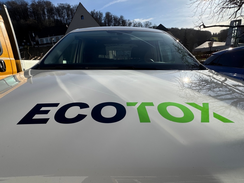 kammerjaeger oberwil wespennest entfernen