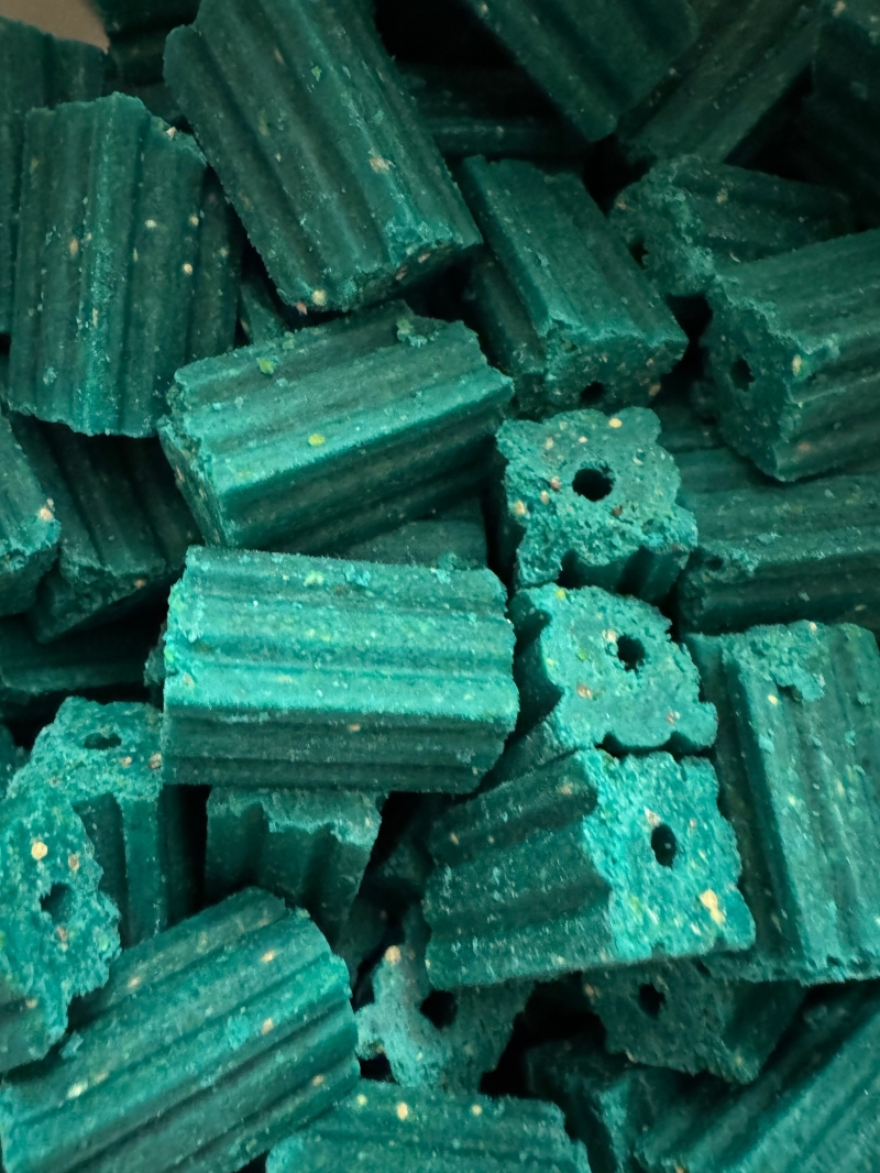 kammerjaeger gelterkinden mausproblem