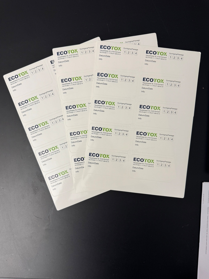 kammerjaeger muttenz marderabwehr