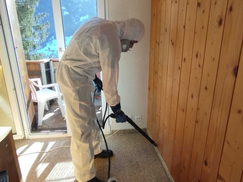 kammerjaeger baselland schaedlingsbekaempfung liestal wespen entfernen baselland ratten bekaempfen pratteln bettwanzen allschwil schaedlinge baselbiet