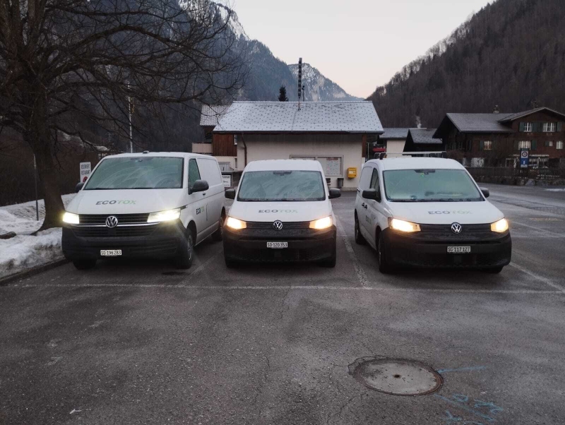 kammerjaeger reinach ameisen in der kueche