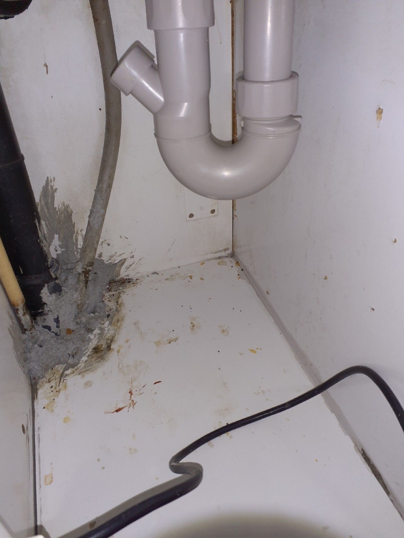 Unter dem Waschbecken in Augst deuten verschmierte Spuren und angeknabberte Stellen auf Rattenaktivitaet hin, was einen schnellen Einsatz eines Kammerjaegers notwendig macht.