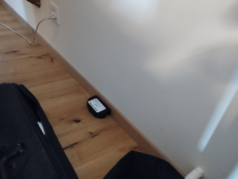 Neben der Wandleiste in Bennwil liegt eine Koederbox, was auf moegliche Maeuseaktivitaet hindeutet und den Einsatz eines Kammerjaegers sinnvoll macht.