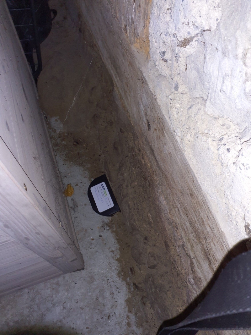 In einem schmalen Kellergang in Bottmingen liegt eine Koederbox gegen Maeuse, was auf einen Befall hindeutet und den Einsatz eines Kammerjaegers notwendig machen kann.