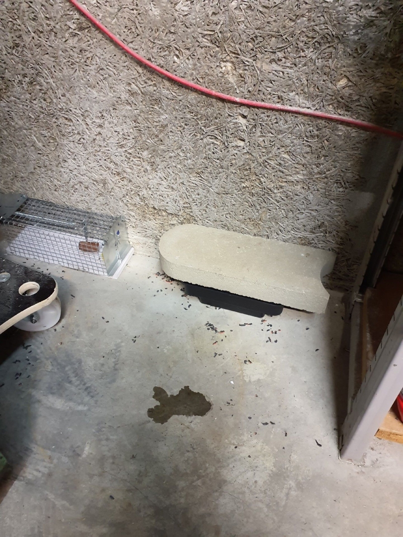In einem Kellerbereich in Brislach deuten Fraessspuren und Koederbox auf Rattenaktivitaet hin, weshalb ein Kammerjaeger fuer eine gruendliche Bekaempfung noetig ist.