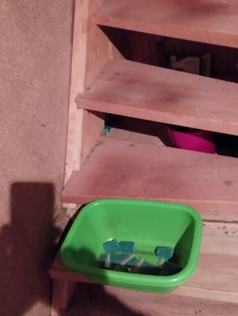 In Diegten weist eine Schale mit Koeder unter der Holztreppe auf moegliche Rattenaktivitaet hin, was den Einsatz eines Kammerjaegers erforderlich machen koennte.