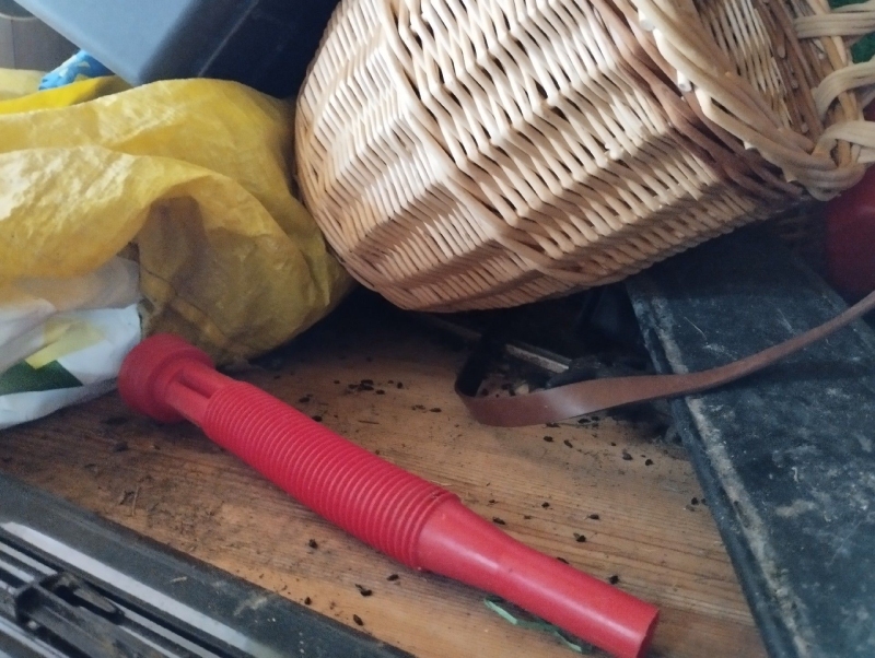 In Diepflingen deuten verstreute Fraesspuren und dunkle Kotreste unter dem Korb auf einen Rattenbefall hin, der den Einsatz eines Kammerjaegers erfordert.