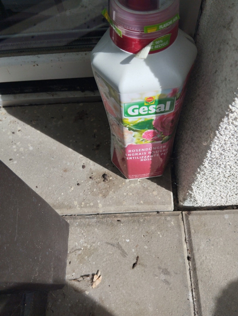 In Diepflingen liegen kleine dunkle Kotreste und Nagespuren neben dem Duengerbehaelter auf der Terrasse, was auf Maeuse hindeutet und den Einsatz eines Kammerjaegers noetig macht.