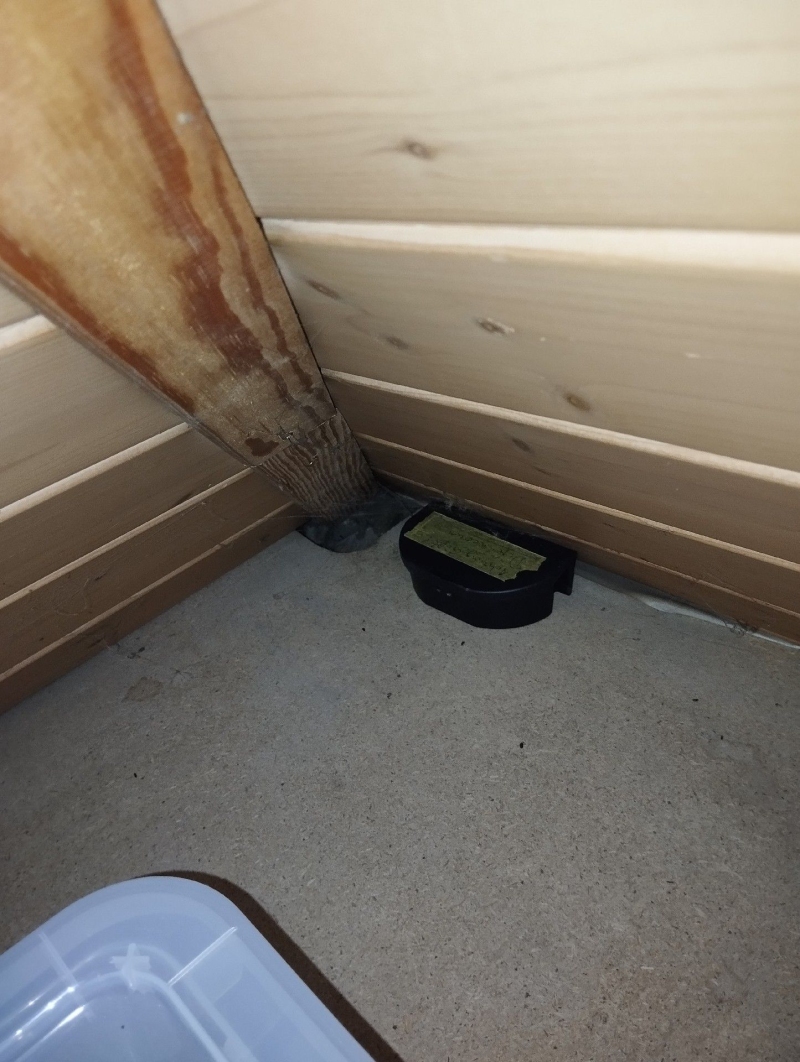 Ratten_bekaempfung_ratten_vertreiben (1540).jpeg