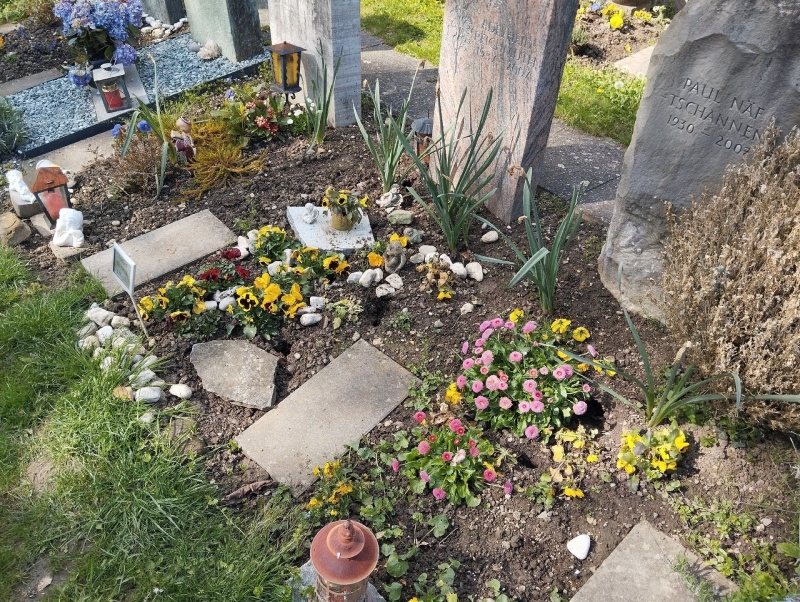 Zwischen den bepflanzten Grabstellen in Frenkendorf weisen kleine Erdloecher auf moegliche Maeusegaenge hin, was den Einsatz eines Kammerjaegers notwendig machen koennte.