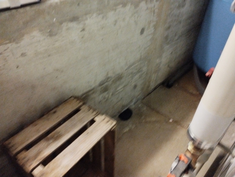 In einem Kellereck von Gelterkinden deutet eine offene Abflussstelle neben einer Holzpalette auf moegliche Rattenaktivitaet hin, was einen Kammerjaeger erfordert.