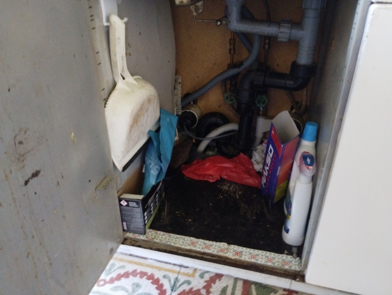 In Haefelfingen lassen Verschmutzungen und Spuren unter dem Spuelenschrank auf moegliche Rattenaktivitaet schliessen, was den Einsatz eines Kammerjaeger naheliegt.
