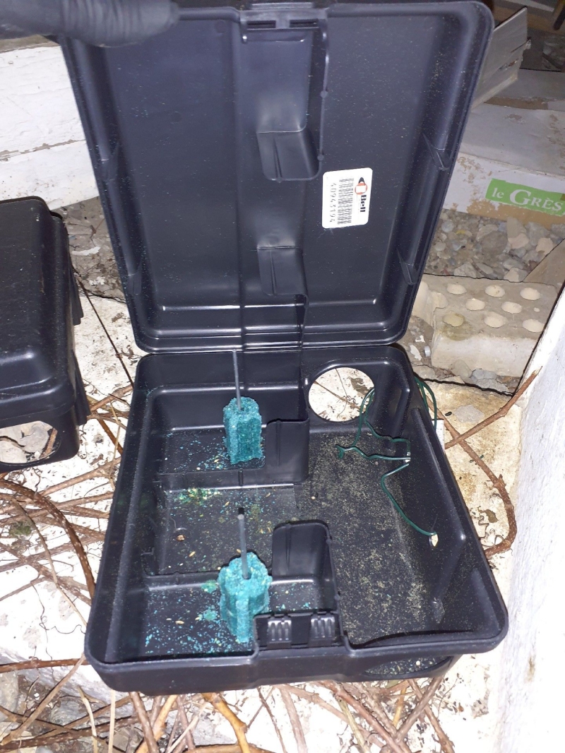 In Liestal deutet die geoeffnete Koederbox mit sichtbaren Fraessspuren auf Maeuse hin, sodass ein Kammerjaeger notwendig sein kann.