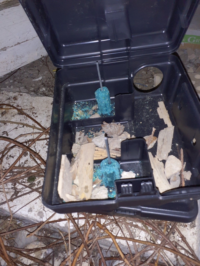 In Lupsingen steht eine geoeffnete Koederbox mit Fraßspuren, was auf Rattenbefall hinweist und den Einsatz eines Kammerjaegers erforderlich macht.