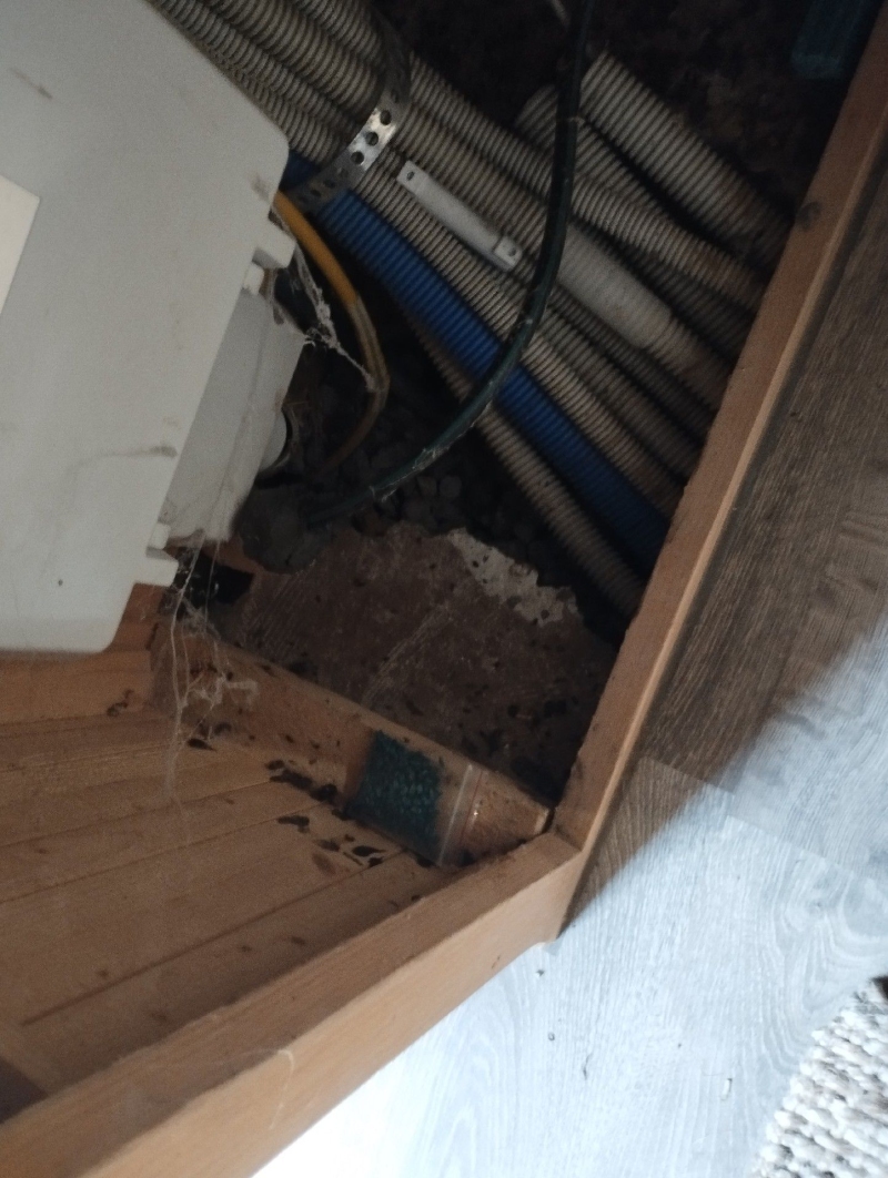 In Lupsingen liegt zwischen Leitungen und Holzverkleidung deutlich sichtbarer Nageschmutz von Maeusen, was den Einsatz eines Kammerjaegers notwendig macht.