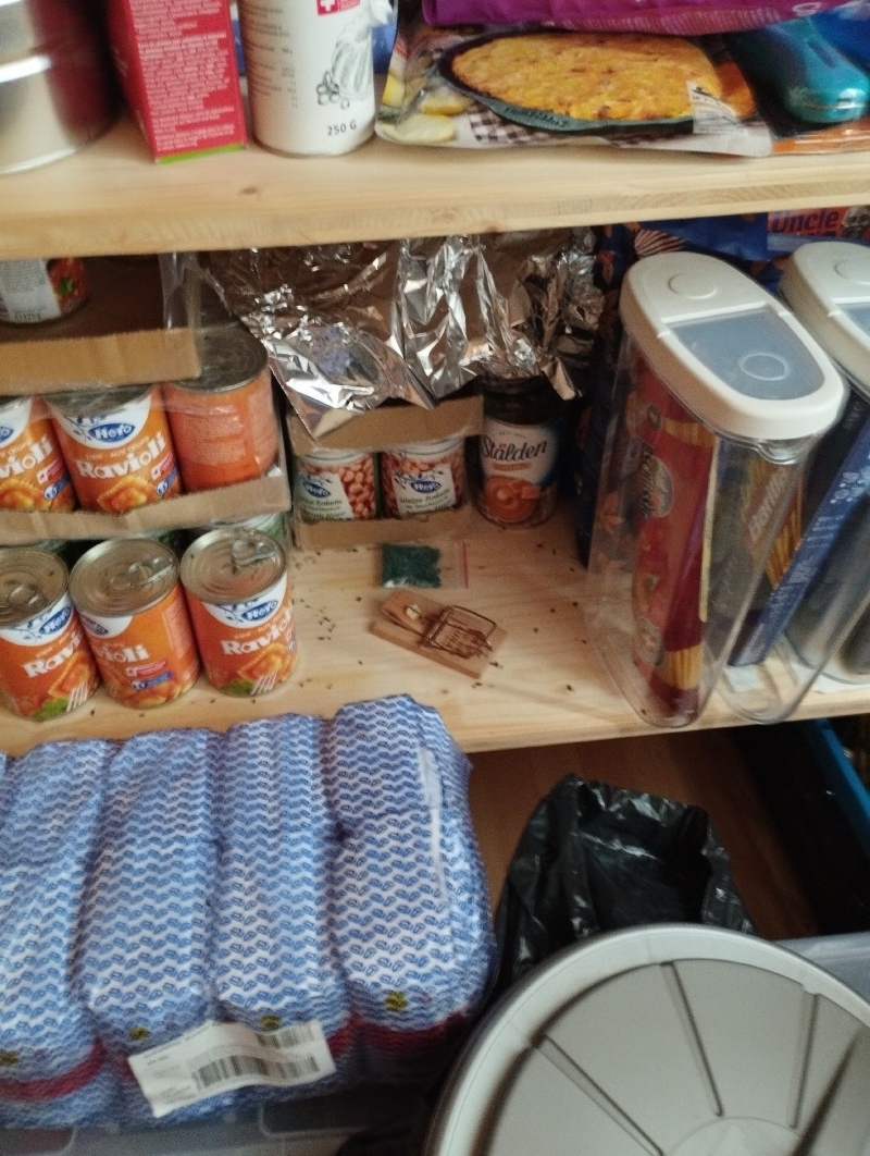 Im Vorratsraum in Maisprach deutet die platzierte Falle zwischen den Lebensmitteln auf moegliche Rattenaktivitaet hin, was den Einsatz eines Kammerjaeger erforderlich macht.