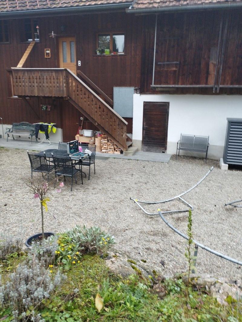 Im kiesigen Hofbereich in Muenchenstein deuten verstreute Spuren unter der hölzernen Fassade auf Rattenaktivitaet hin, was den Einsatz eines Kammerjaeger notwendig macht.
