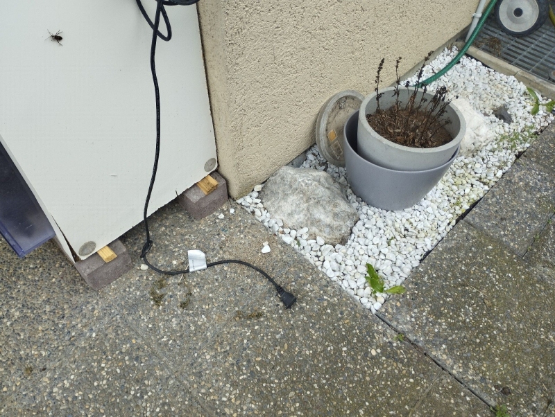 Neben dem Haussockel in Niederdorf deuten verstreute Spuren im Kies auf moegliche Maeuse hin, weshalb ein Kammerjaeger zur Abklaerung sinnvoll ist.