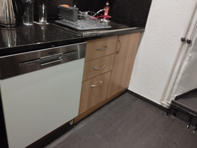 Unter der Spuele in Oberwil koennen leichte Hinweise auf Maeuseaktivitaet bestehen, wodurch der Einsatz eines Kammerjaegers ratsam sein kann.