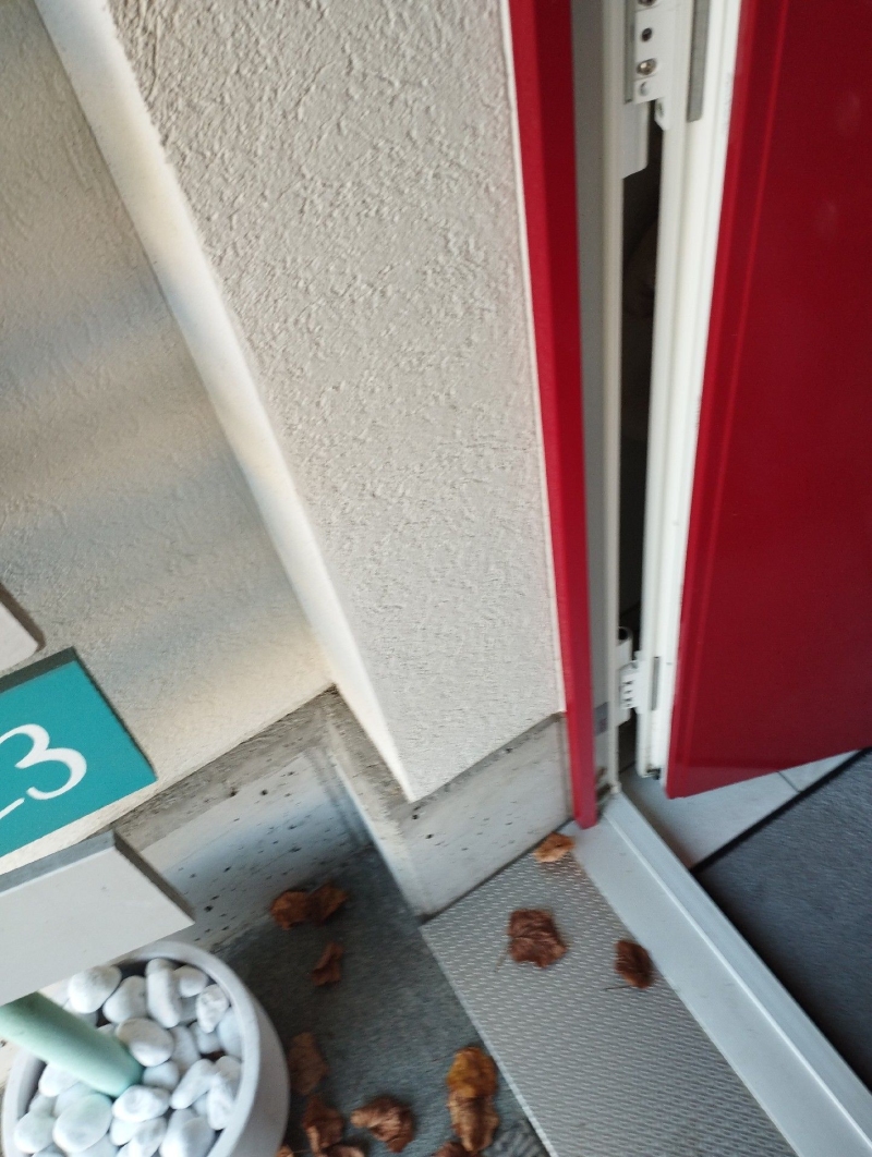 Nahe einer geoeffneten Tuere in Ramlinsburg weisen verstreute Spuren auf Maeuse hin, was den Einsatz eines Kammerjaeger im ORT erforderlich machen kann.