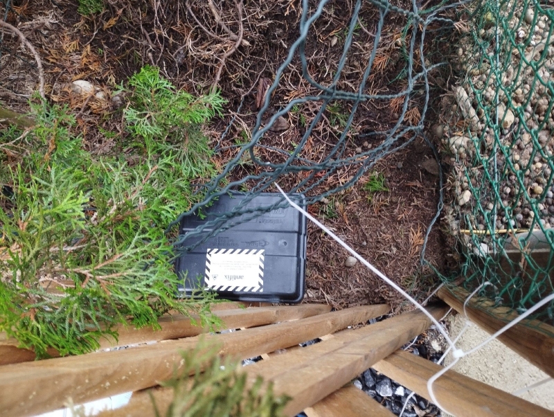 In Roeschenz liegt zwischen Straeuchern eine gesicherte Koederbox zur Kontrolle eines Maeusebefalls bereit und unterstuetzt den Einsatz des Kammerjaeger.