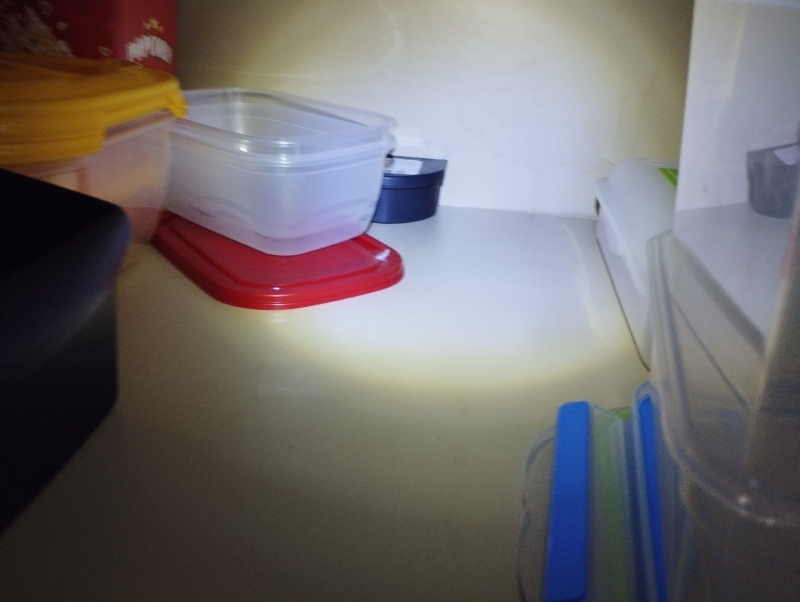 In Therwil sind Ratten in einem Schrank sichtbar. Ein Kammerjäger könnte hier eingreifen, um die Tiere sicher zu vertreiben und eine weitere Ausbreitung zu verhindern.
