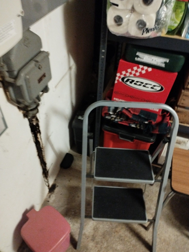 In Waldenburg sind Ratten an der Wand in einer Garage sichtbar. Es wird empfohlen, einen Kammerjäger zur Bekämpfung und Entfernung der Ratten zu kontaktieren.
