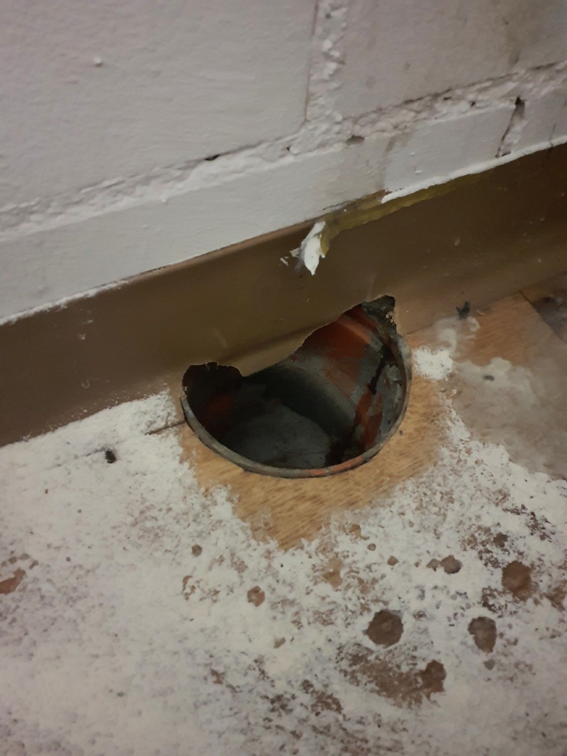 Ratten sind in Wintersingen sichtbar. Es wird empfohlen, schnell einen Kammerjäger zur Bekämpfung des Befalls zu kontaktieren.