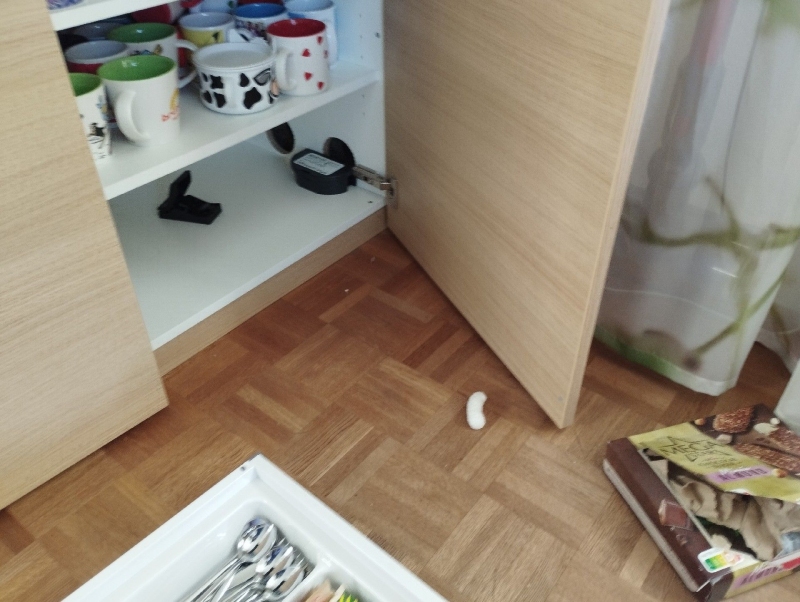 Ort: Zwingen. In einem Küchenschrank sind Spuren von Ratten sichtbar. Ein Kammerjäger könnte helfen, das Problem gezielt zu bekämpfen.