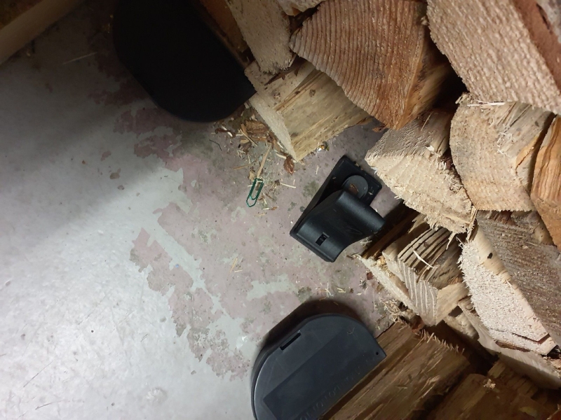 Ort: Zwingen. An einem Holzstapel sind Fallen für Mäuse sichtbar. Ein Kammerjäger könnte helfen, die Mäuse effektiv zu vertreiben.