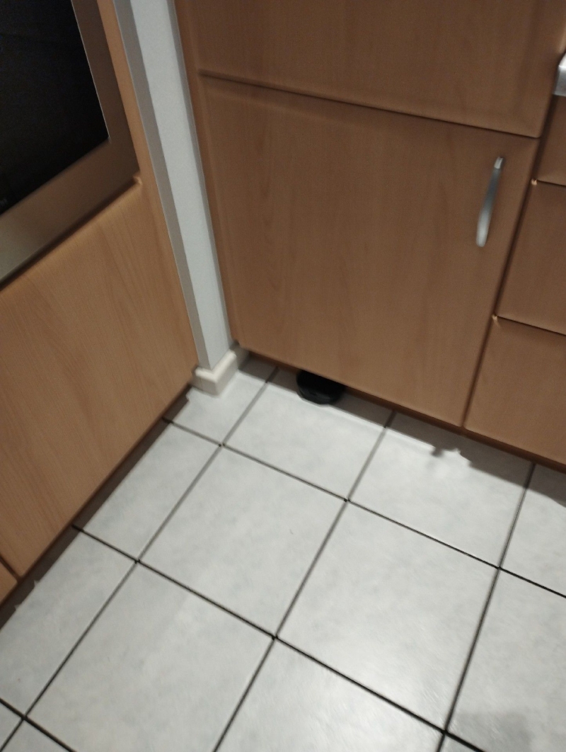 Ein Kammerjaeger hat in Aesch in einer Kuche eine schwarze Rattenköderbox unauffaellig unter dem Unterschrank platziert, um einen Befall zu kontrollieren.