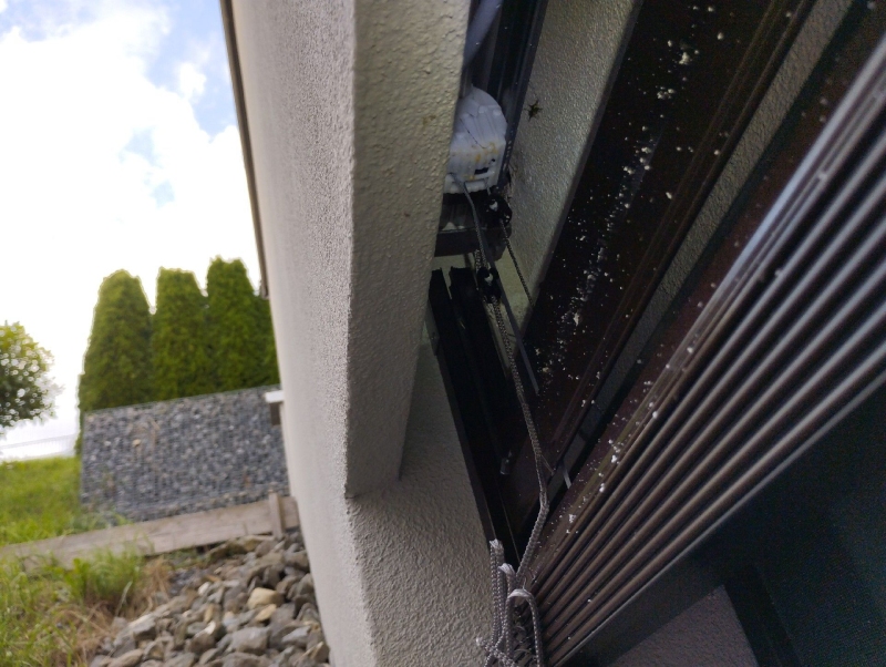 Zwischen Fassade und Jalousie in Allschwil zeigt sich ein verborgenes Wespennest, dessen Lage den Einsatz eines Kammerjaegers notwendig macht.