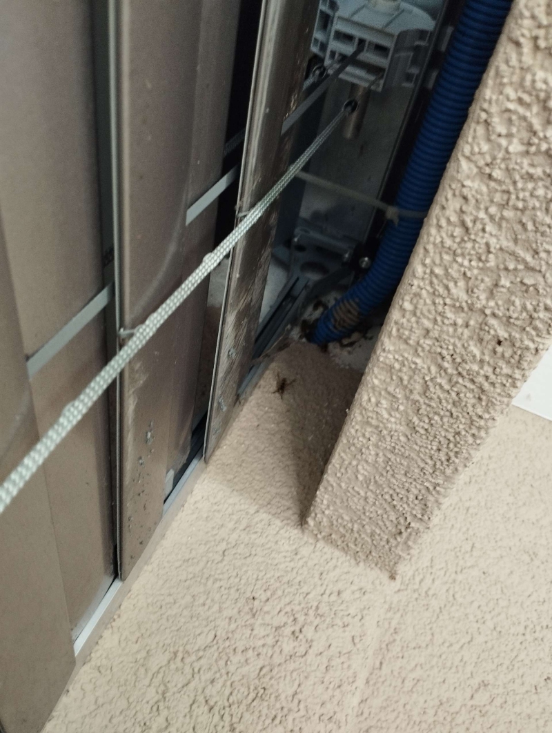 An der engen Stelle zwischen Jalousiefuehrung und Fassade in Allschwil liegt ein verborgenes Hornissennest, das den Einsatz eines Kammerjaegers erforderlich macht.